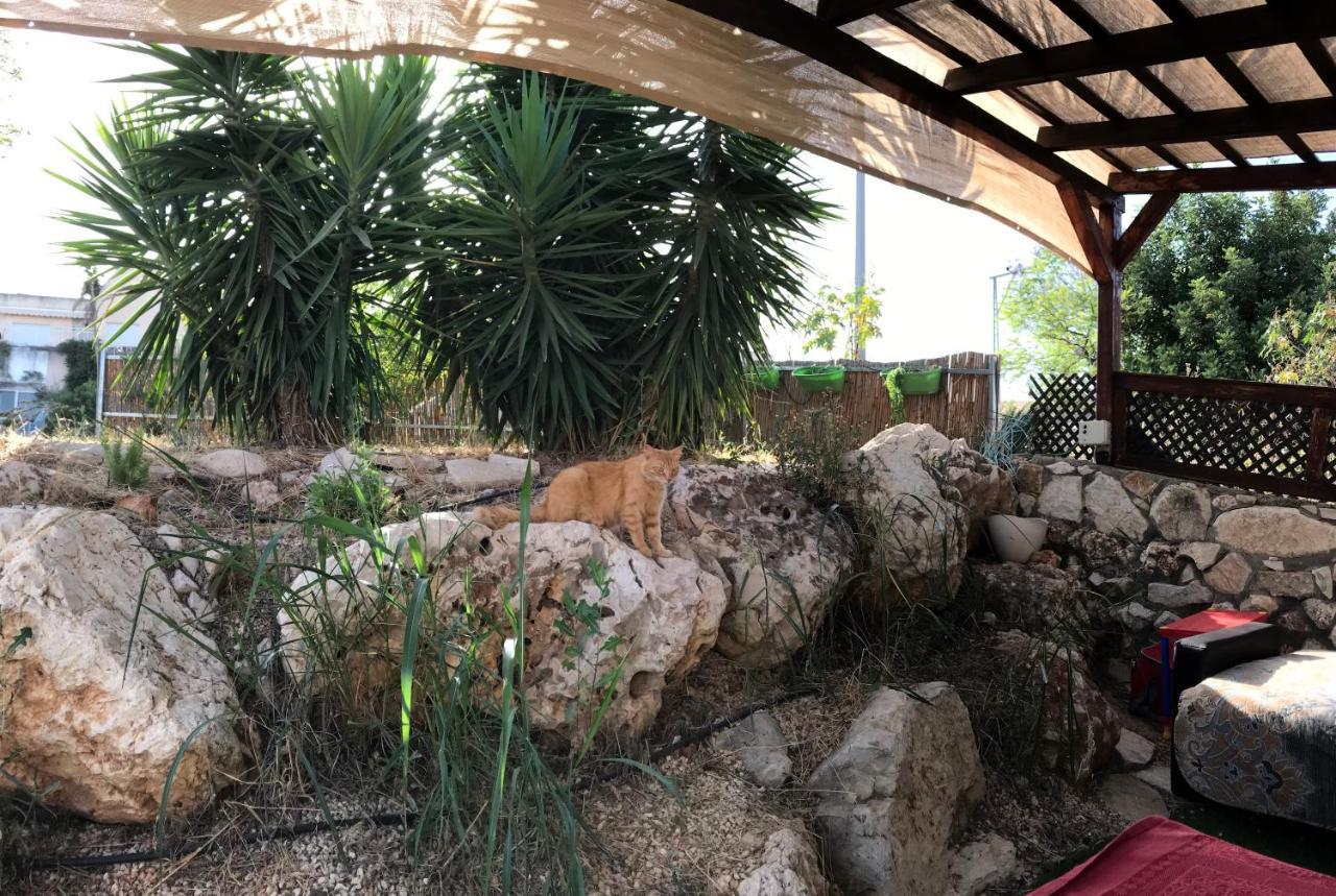 Panorama Kinneret נוף כנרת, Safed